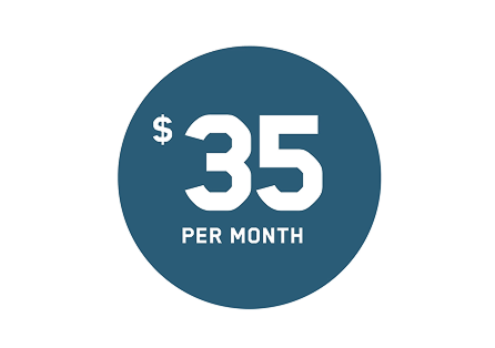 Icon with '$35 per month' written in white in a blue circle.