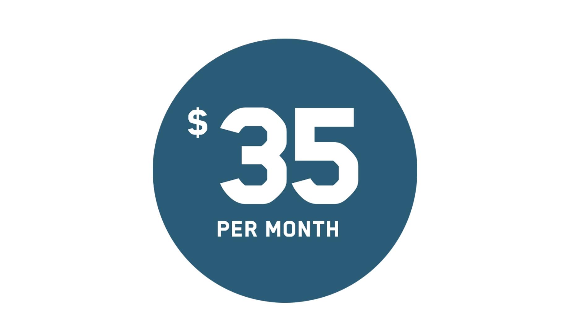 Icon with '$35 per month' written in white in a blue circle.