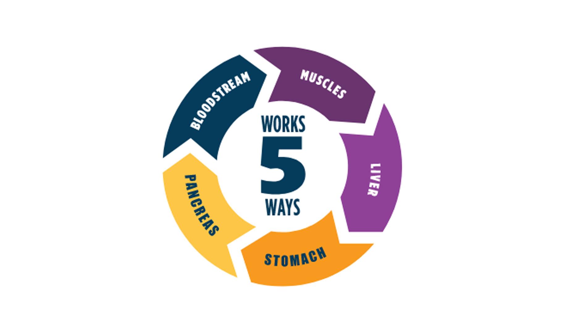 Circular diagram labeled 'WORKS 5 WAYS' in the center, with five segments representing BLOODSTREAM, MUSCLES, LIVER, STOMACH, and PANCREAS.