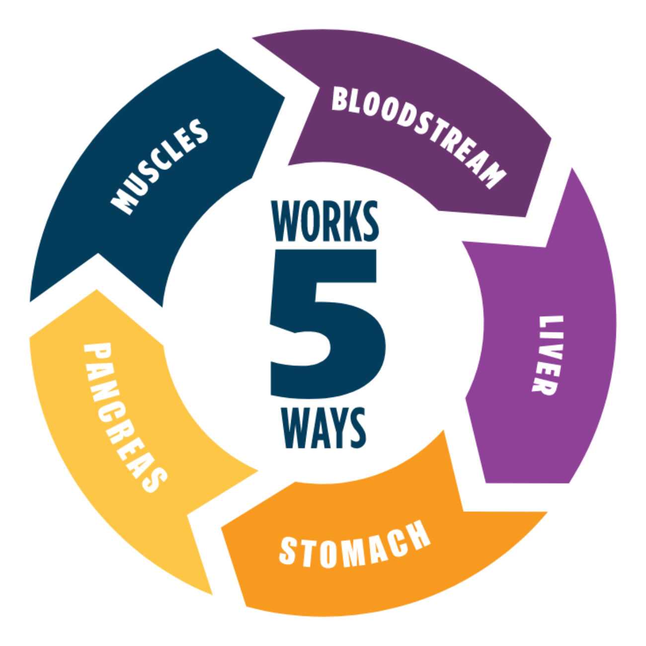 How does SOLIQUA 100/33 work SOLIQUA® 100/33 (insulin glargine